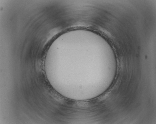 X0000077401258200611101811