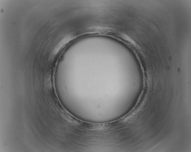 X0000077401259200611101811