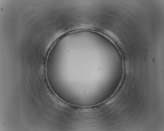 X0000077401260200611101811