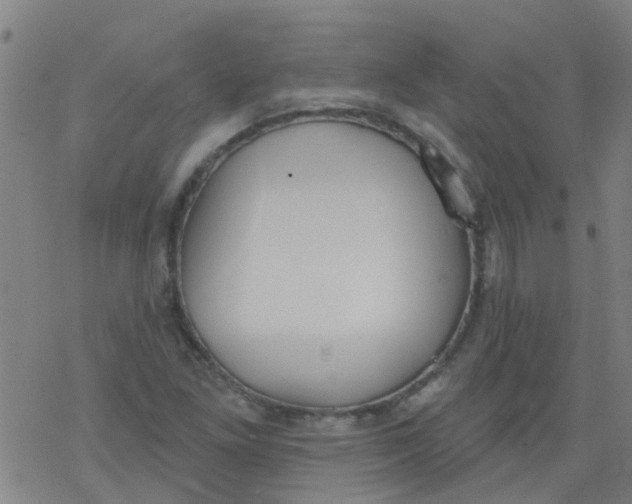 X0000077401261200611101811