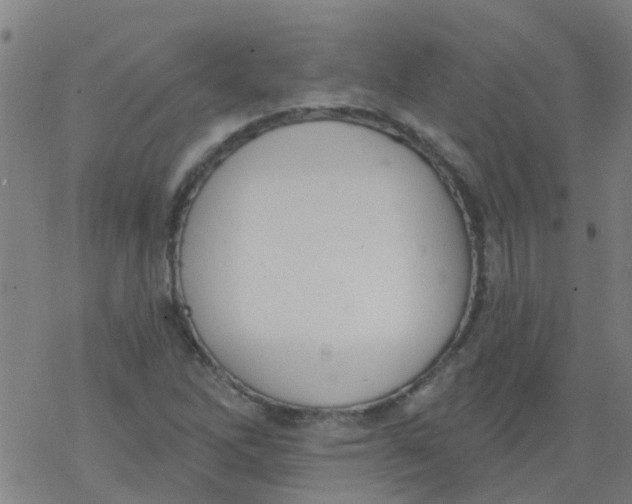 X0000077401262200611101811