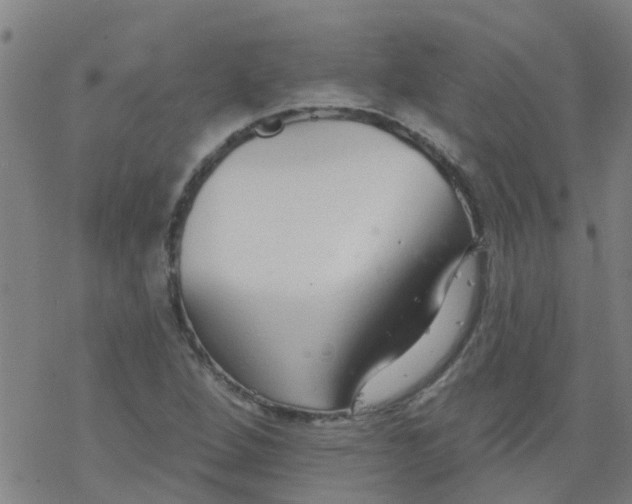 X0000077401264200611101811