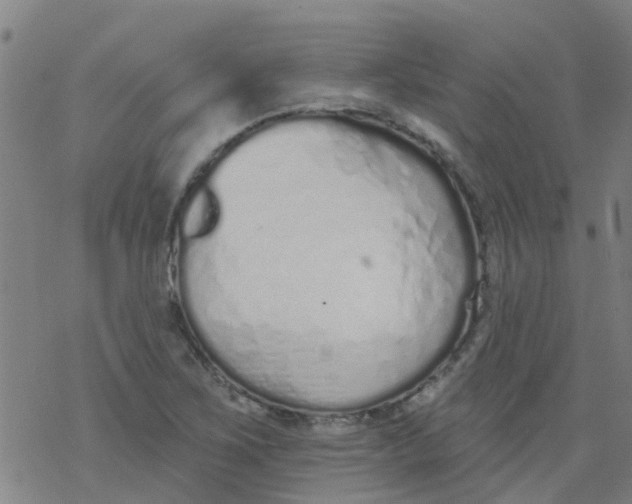 X0000077401267200611101811