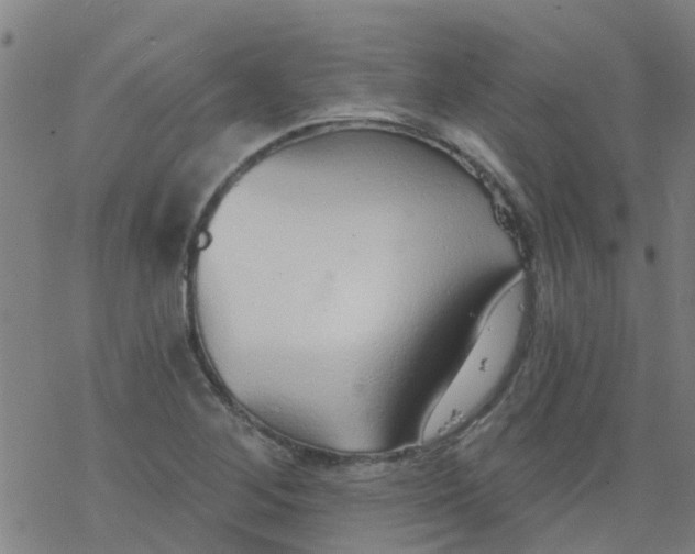 X0000077401268200611101811