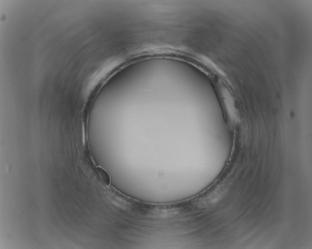 X0000077401269200611101811