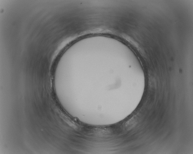 X0000077401270200611101811