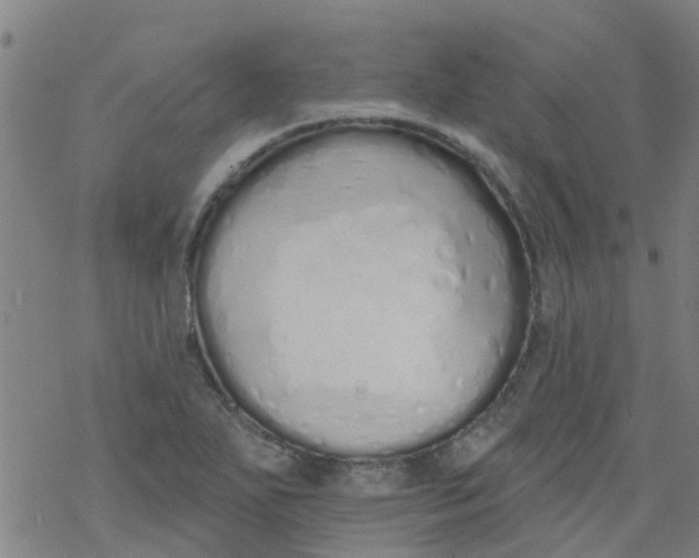 X0000077401271200611101811