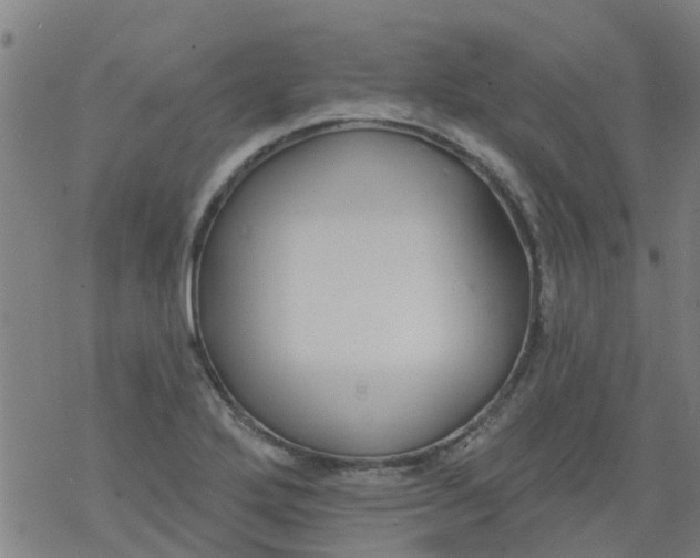 X0000077401272200611101811