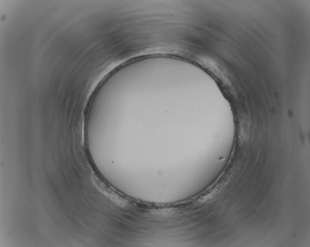 X0000077401276200611101811