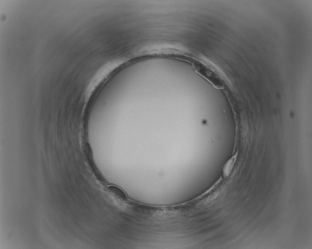 X0000077401277200611101811