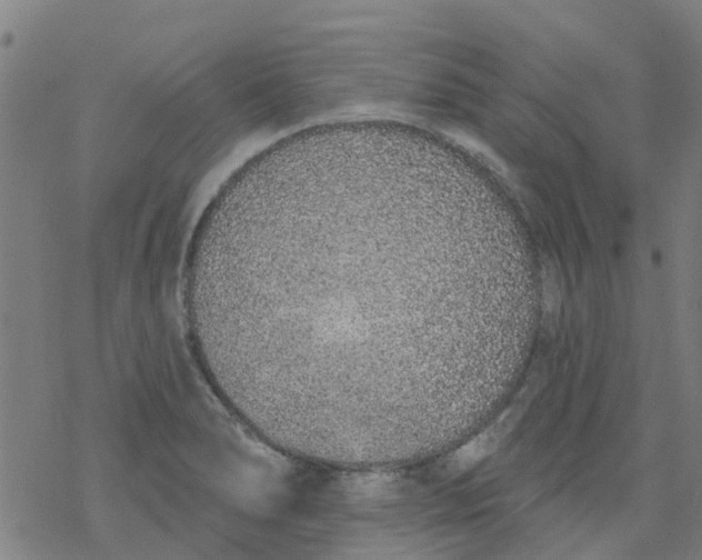 X0000077401278200611101811