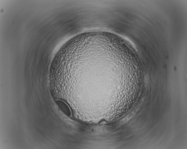 X0000077401279200611101811