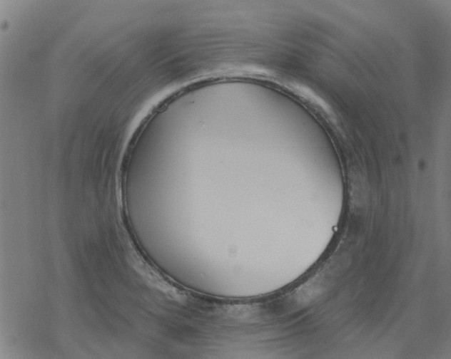 X0000077401280200611101811