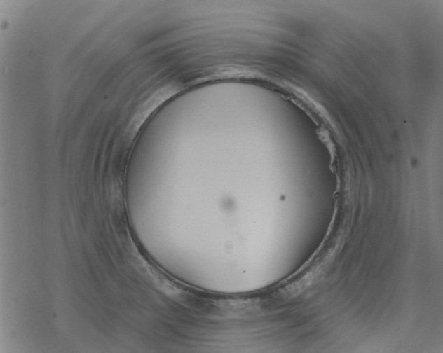 X0000077401281200611101811