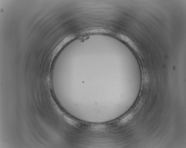 X0000077401282200611101811