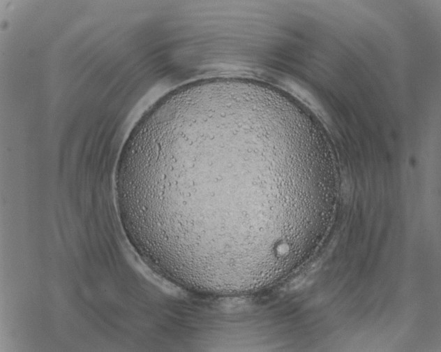 X0000077401283200611101811