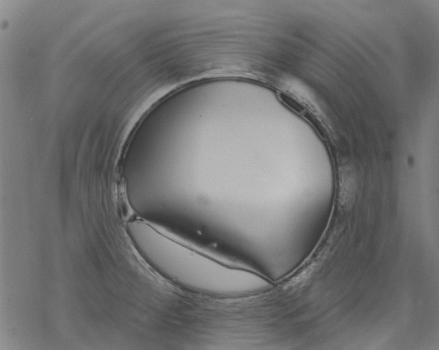 X0000077401284200611101811