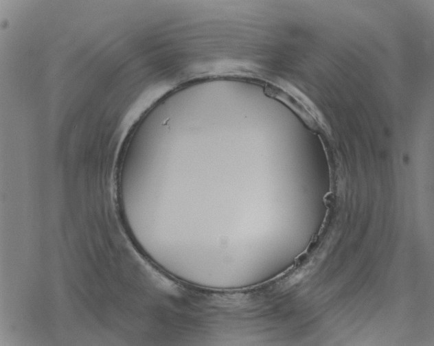 X0000077401285200611101811