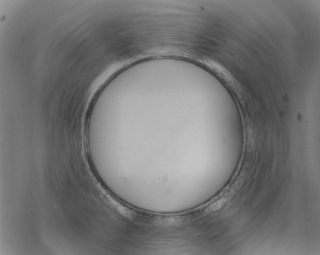 X0000077401286200611101811