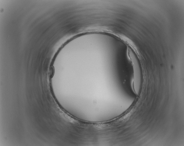 X0000077401288200611101811