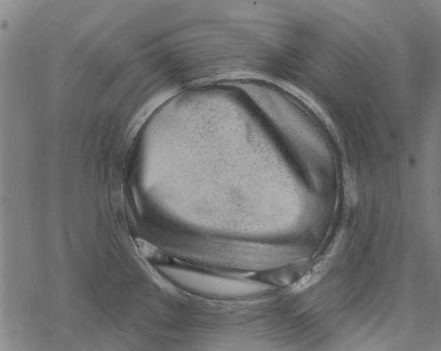 X0000077401289200611101811