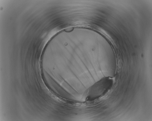 X0000077401291200611101811