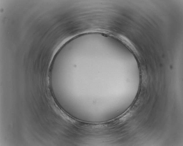 X0000077401292200611101811