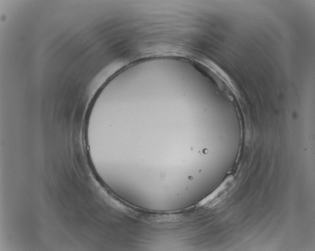 X0000077401293200611101810