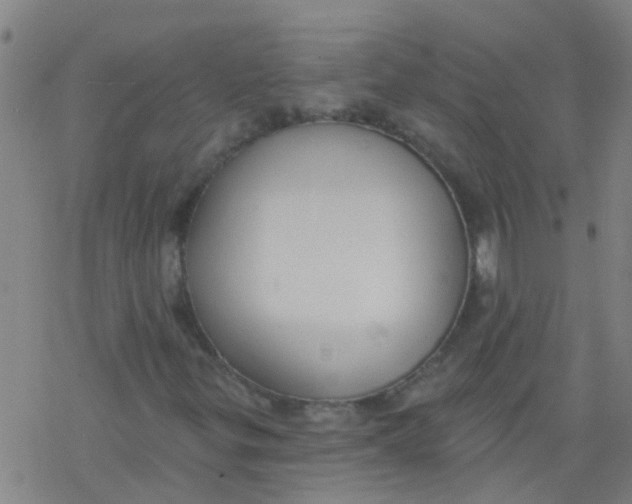 X0000077401299200611101810