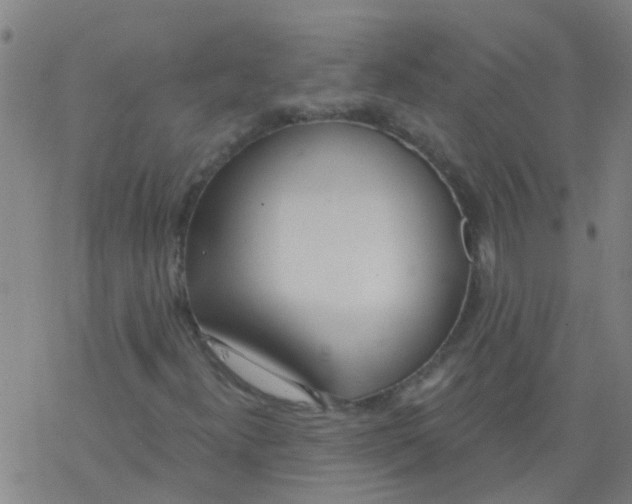 X0000077401300200611101810