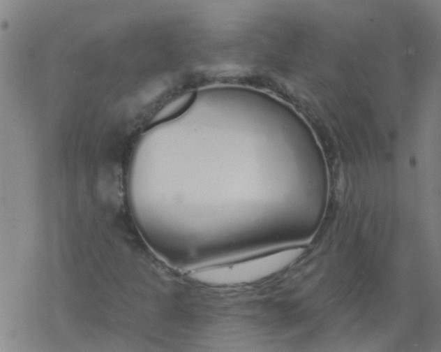 X0000077401301200611101810