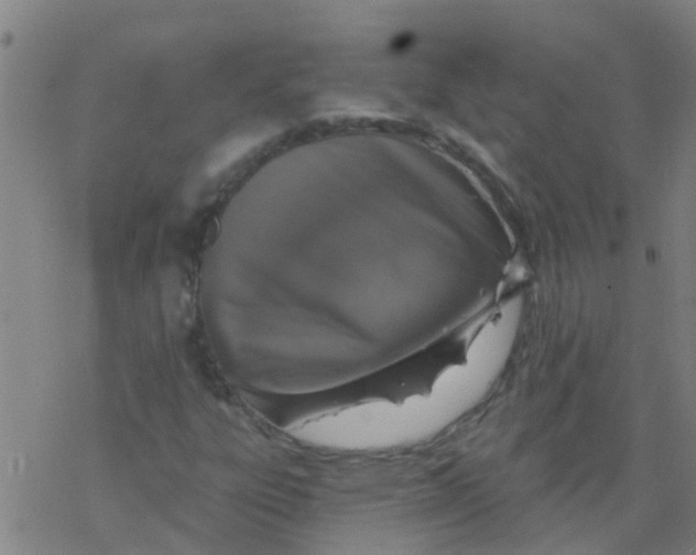 X0000077401303200611101810