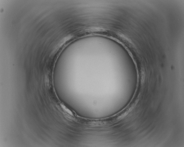 X0000077401305200611101810