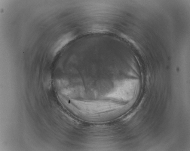 X0000077401306200611101810