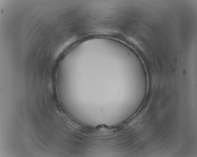 X0000077401307200611101810