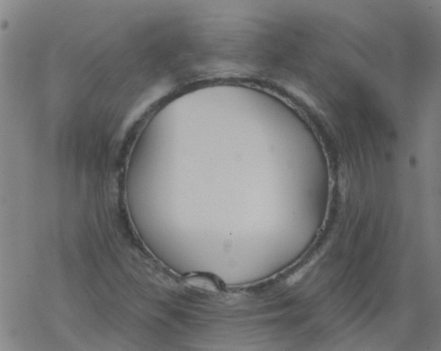 X0000077401309200611101810