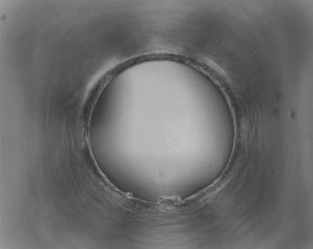 X0000077401310200611101810