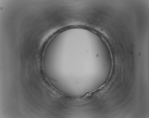 X0000077401311200611101810