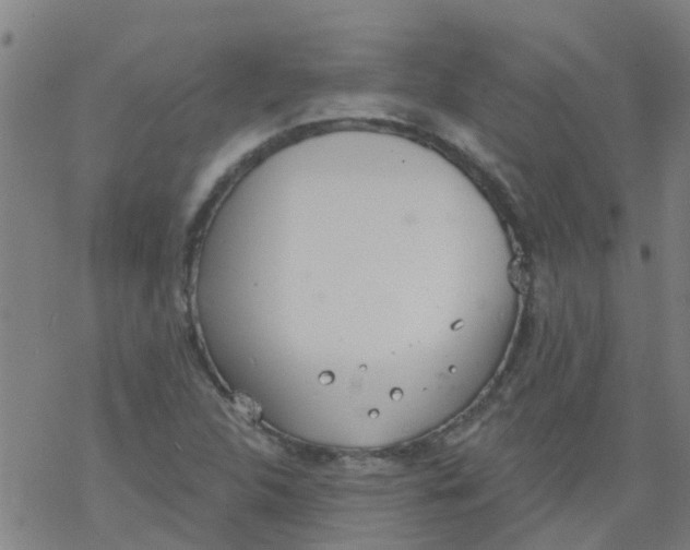 X0000077401312200611101810