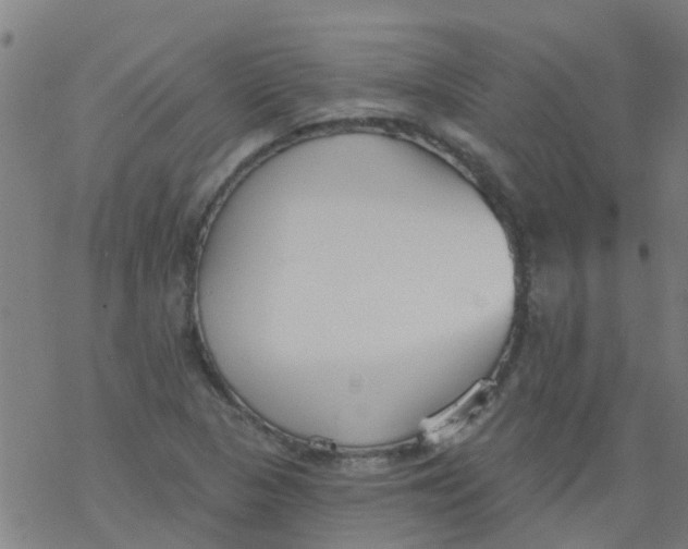 X0000077401313200611101810