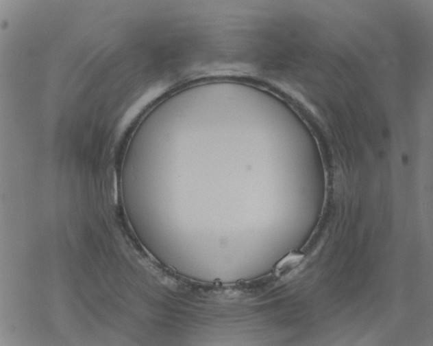 X0000077401317200611101810