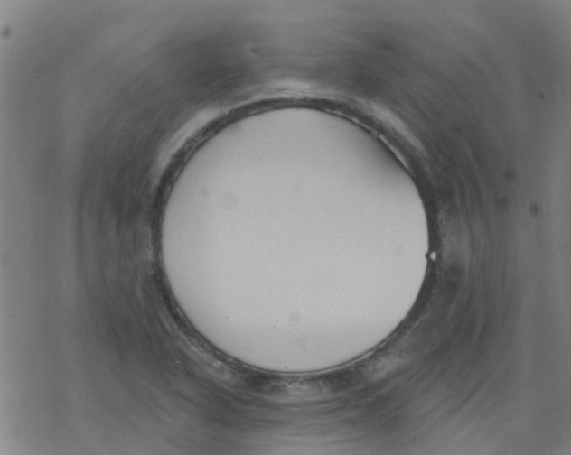 X0000077401318200611101810