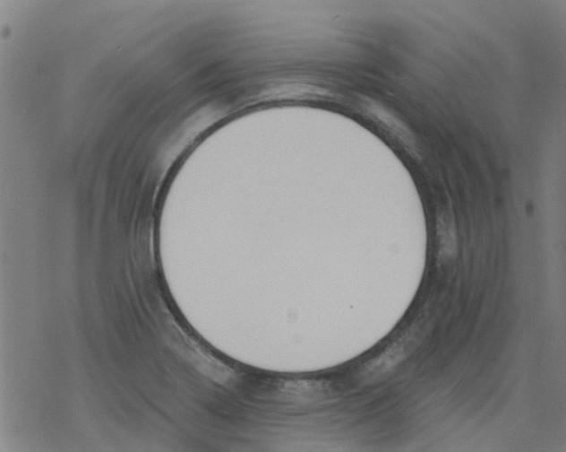 X0000077401322200611101810