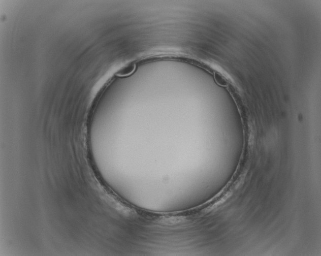 X0000077401325200611101810