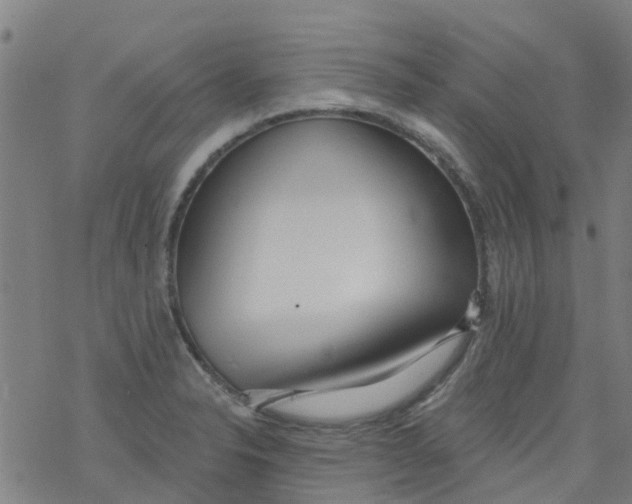 X0000077401326200611101810