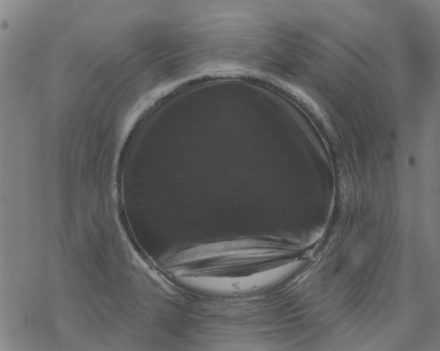 X0000077401327200611101810