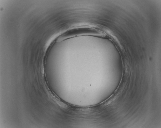 X0000077401328200611101810