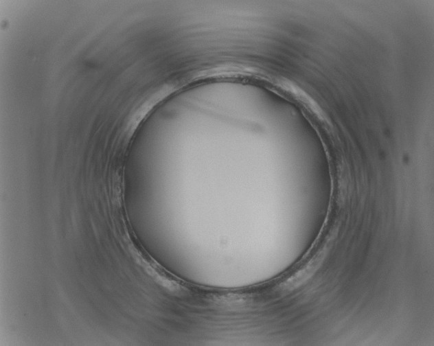 X0000077401329200611101810