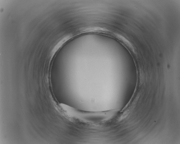 X0000077401330200611101810