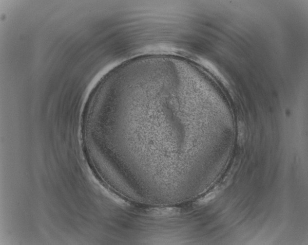 X0000077401331200611101810